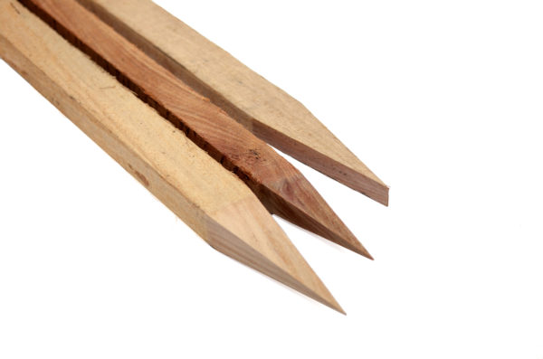 50 mm x 50 mm Hardwood Stakes